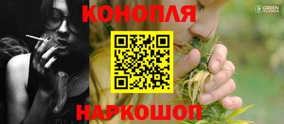 мдпв Партизанск