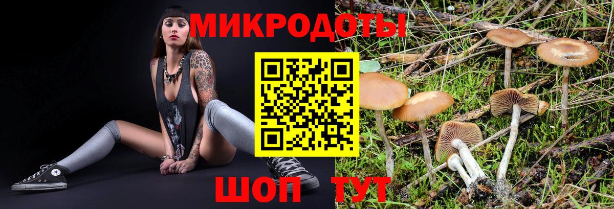 Псилоцибиновые грибы ЛСД Москва